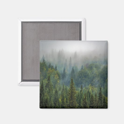 Nebelwälder Magnet (Vorderseite/Rückseite)