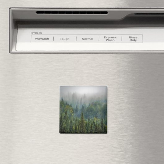 Nebelwälder Magnet (In Situ (Geschirrspüler))