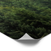 Nebelwälder Poster (Ecke)