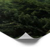 Nebelwälder Poster (Ecke)
