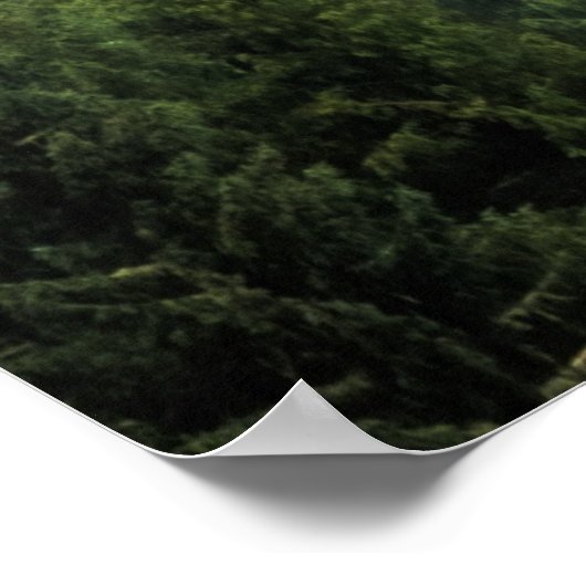 Nebelwälder Poster (Ecke)