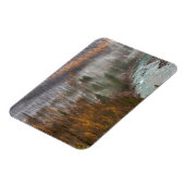 Nebelwalzen in den Lärchenbaumen des Herbstes Magnet (Linke Seite)