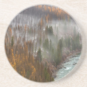 Nebelwalzwerke in den Herbstlärchen Getränkeuntersetzer