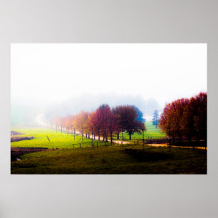 Nebelwiese im Herbst Poster