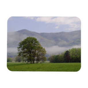 Nebelwiese und Rich Mountain, Cades Cove, Magnet