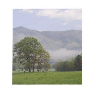 Nebelwiese und Rich Mountain, Cades Cove, Notizblock