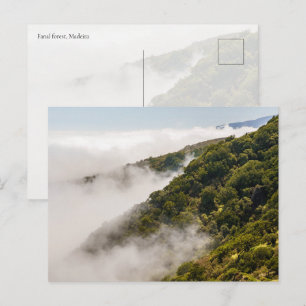 Nebelwolken über Hügeln, Fanal-Wald, Madeira Postkarte