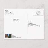 Neben dem Dallas Weihnachtsbaum Vielen Dank Postkarte (Rückseite)