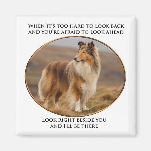 Neben dir Collie Magnet (Vorne)