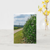 Neben einem Maisfeld Karte (Gelbe Blume)