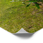 Neben einem Maisfeld Poster (Ecke)