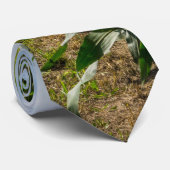 Neben einem Maisfeldrand Krawatte (Gerollt)