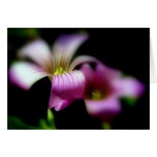 Neben Ihnen immer Liebe-Hochzeits-Karte