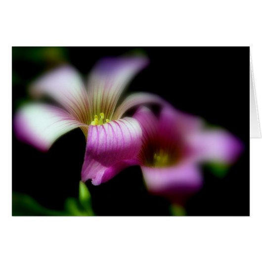 Neben Ihnen immer/ Liebe Hochzeitskarte (Vorderseite (Horizontal))