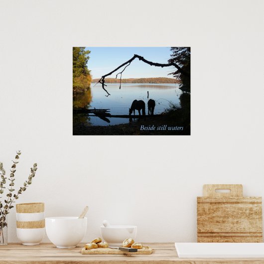 Neben stillgelegten Gewässern Poster (Küche)