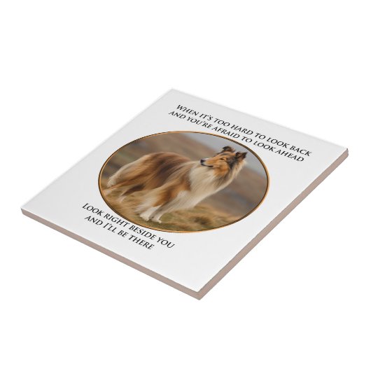 Neben You Collie Fliese (Seite)