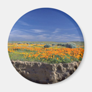 Nebenflussbank-Blumen Magnet
