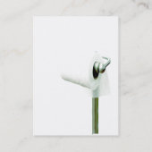 Nebengebäude-mollige Visitenkarten für Klempner Visitenkarte (Rückseite)