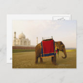 Nebenprofil eines Elefanten, Taj Mahal, Indien Postkarte (Vorne/Hinten)