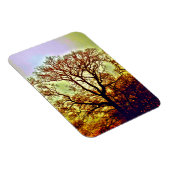 NEBLIGE SONNENBÄUME MAGNET (Rechte Seite)