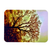 NEBLIGE SONNENBÄUME MAGNET (Horizontal)