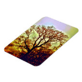 NEBLIGE SONNENBÄUME MAGNET (Linke Seite)
