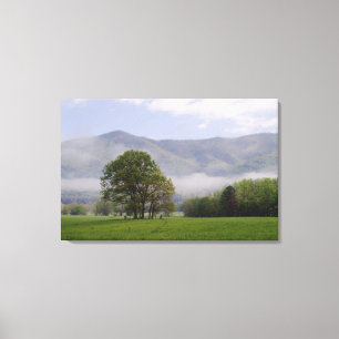 Neblige Wiese und Rich Mountain, Cades Cove, Leinwanddruck