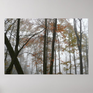 Nebliger Herbst in Pennsylvania Herbst Natur Poster