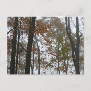 Nebliger Herbst in Pennsylvania Herbst Natur Postkarte