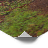 Nebliger Morgen, (Halbglanz) Poster (Ecke)