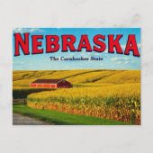 Nebraska Cornfield Postkarte (Vorderseite)