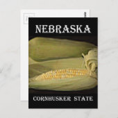 Nebraska Cornhusker Staat Postkarte (Vorne/Hinten)