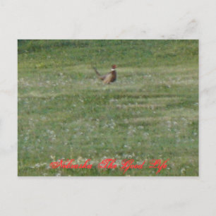 Nebraska Das gute Leben Postkarte