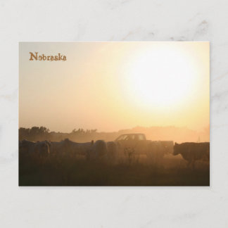 Nebraska Postcard Postkarte