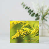Nebraska Staat Blume: Goldenrod Postkarte (Stehend Vorderseite)