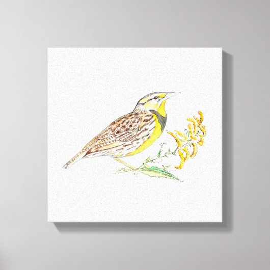 Nebraska Stretched Canvas Print Leinwanddruck (Vorderseite)