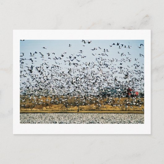 NEBRASKA VIEWS POSTKARTE (Vorderseite)