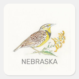 Nebraska-Vogel und Blume Quadratischer Aufkleber