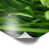 "Nebraskan-Hibiskus" Fotodruck (Ecke)