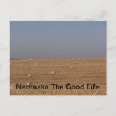 nebraskisch postkarte (Vorderseite)