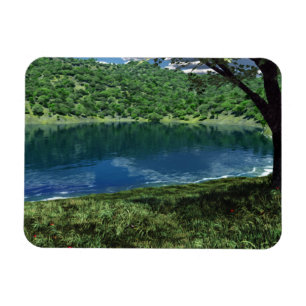 Nebst Deep Waters Flexible Magnet