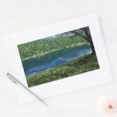 Nebst Deep Waters Stickers (Umschlag)