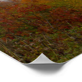 Nebst dem Shenandoah-Nationalpark, Virginia Poster (Ecke)