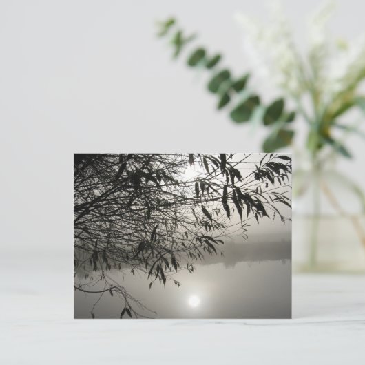 Nebst der Shadow-Postkarte Postkarte (Stehend Vorderseite)