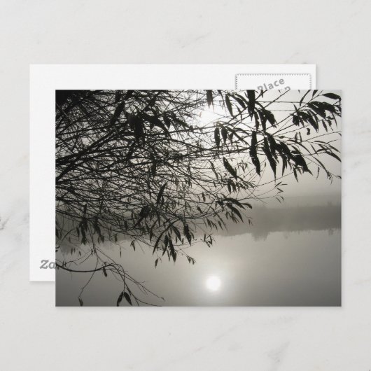 Nebst der Shadow-Postkarte Postkarte (Vorne/Hinten)