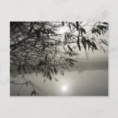 Nebst der Shadow-Postkarte Postkarte (Vorderseite)