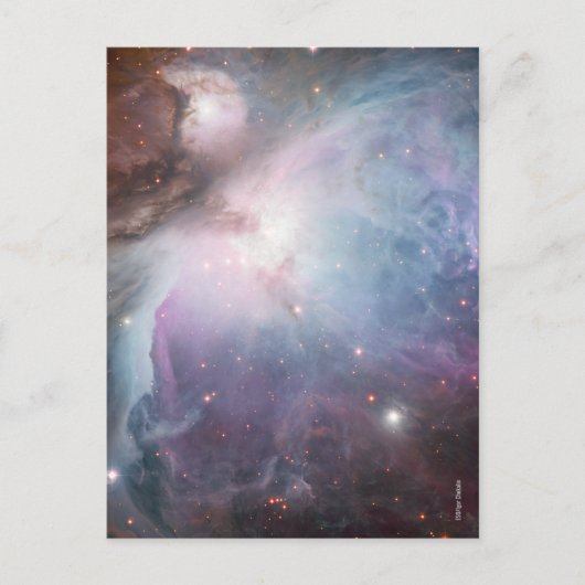 Nebula Orion Astronomisch blau-braune beige Sterne Postkarte (Vorderseite)