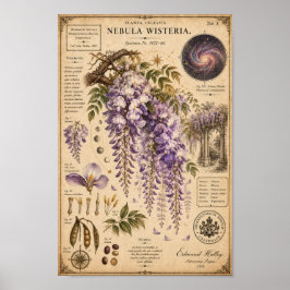 Nebula Wisteria Victorian Botanisches Museum Druck Poster