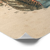 Neck Anatomie 1841 Print Poster (Ecke)