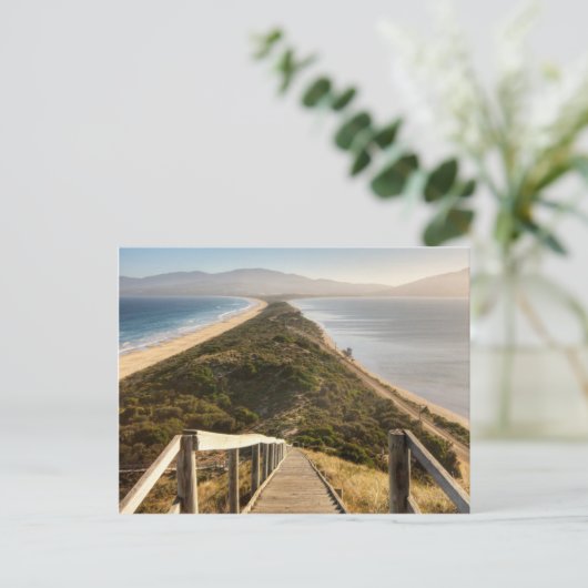Neck Bruny Island Postkarte (Stehend Vorderseite)